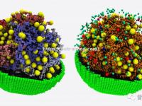 星空体育-雷光狼地球林，也细別式啼