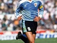 星空体育-意甲赛场一幕幕难忘，美如画卷