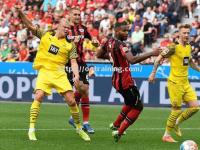 星空体育-沃特福德主场战平，继续保持不败纪录