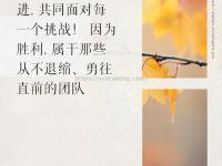 星空体育-積極進攻，團隊協作，締造驚奇勝利