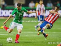 星空体育-奥地利队在欧预赛中表现出色，跻身半决赛