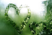 星空体育-利物浦主场大胜布莱顿，保持领先位置不变