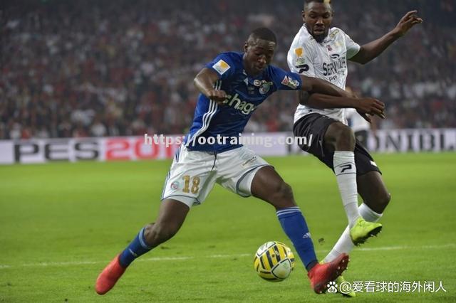 球队战绩持续走高，引发机构关注