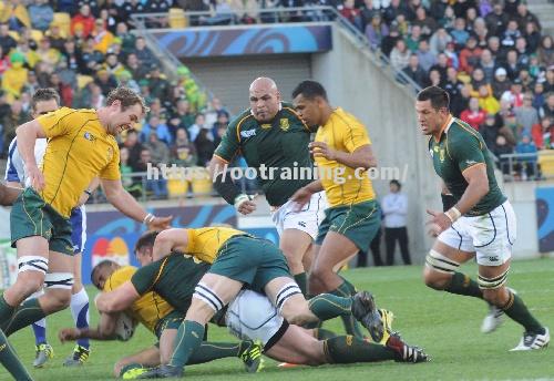 南非击败荷兰，晋级橄榄球半决赛