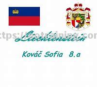 一人之勇！列支敦士登队员振奋雄风迎敌