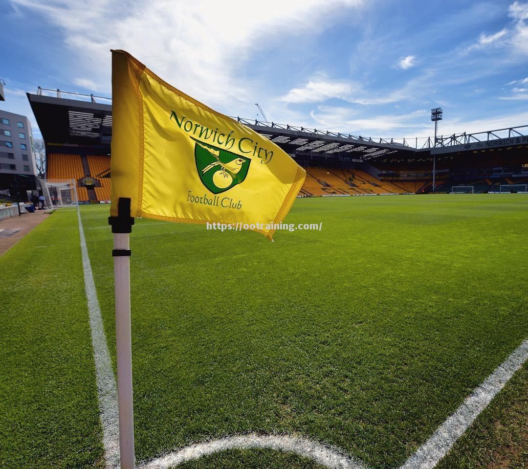 狼队主场击败诺维奇，豺狼再现炸裂状态